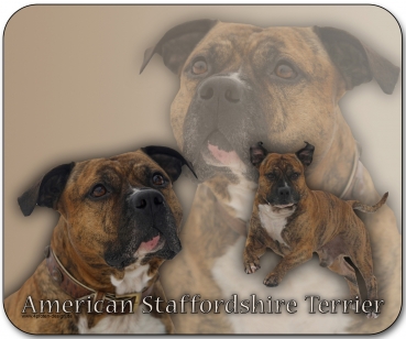 Mousepad American Staffordshire Terrier #2